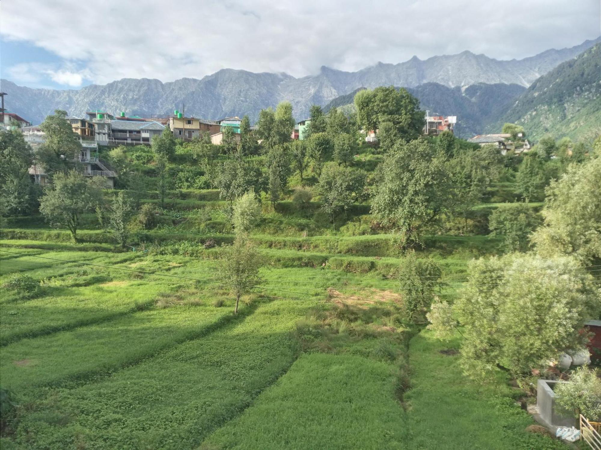 Nirmal Homestay دارامشالا المظهر الخارجي الصورة